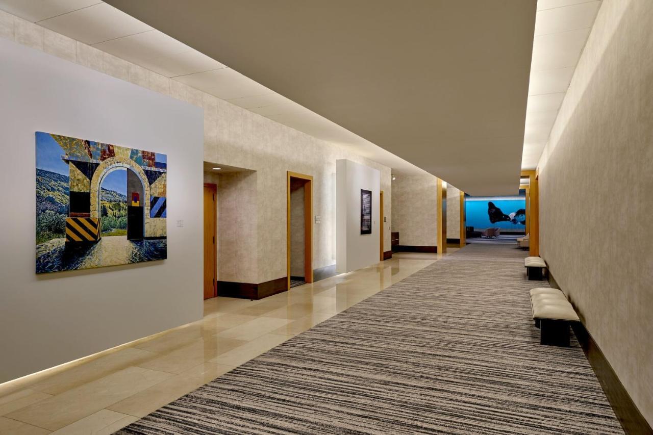 فندق روزمونتفي  فندق لووس شيكاجو أوهير المظهر الخارجي الصورة